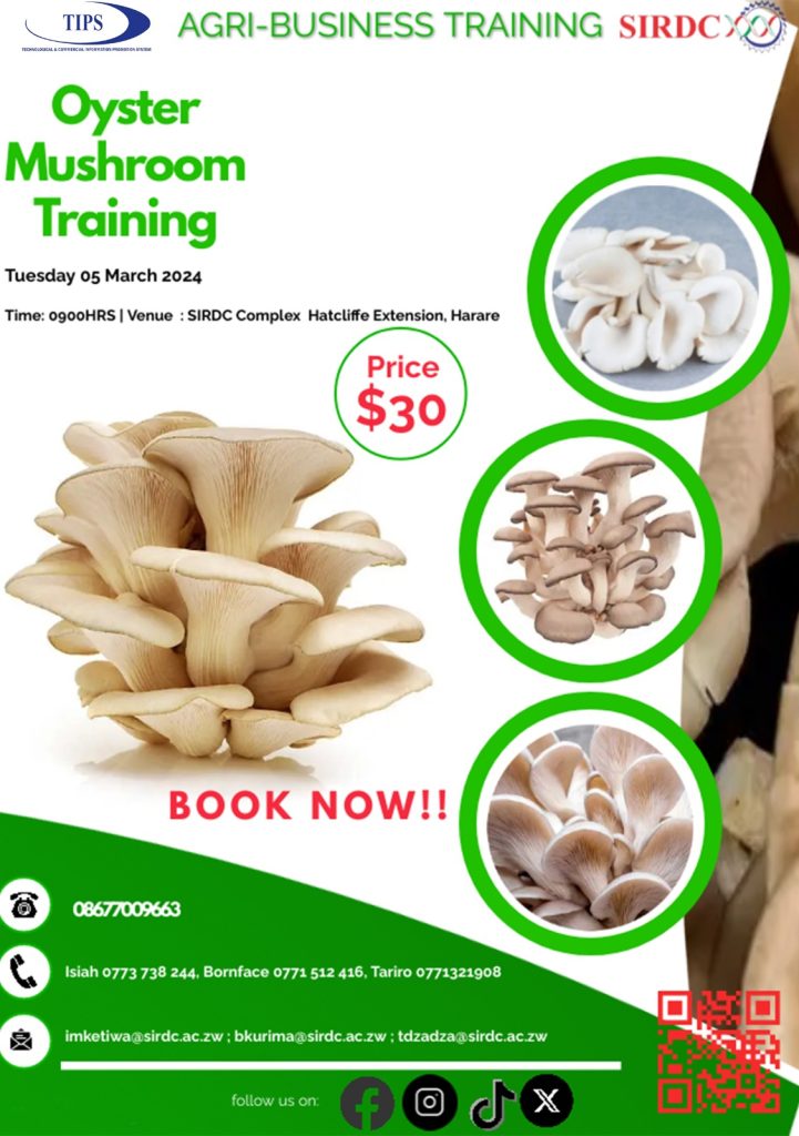 Oyster Mushroom Training